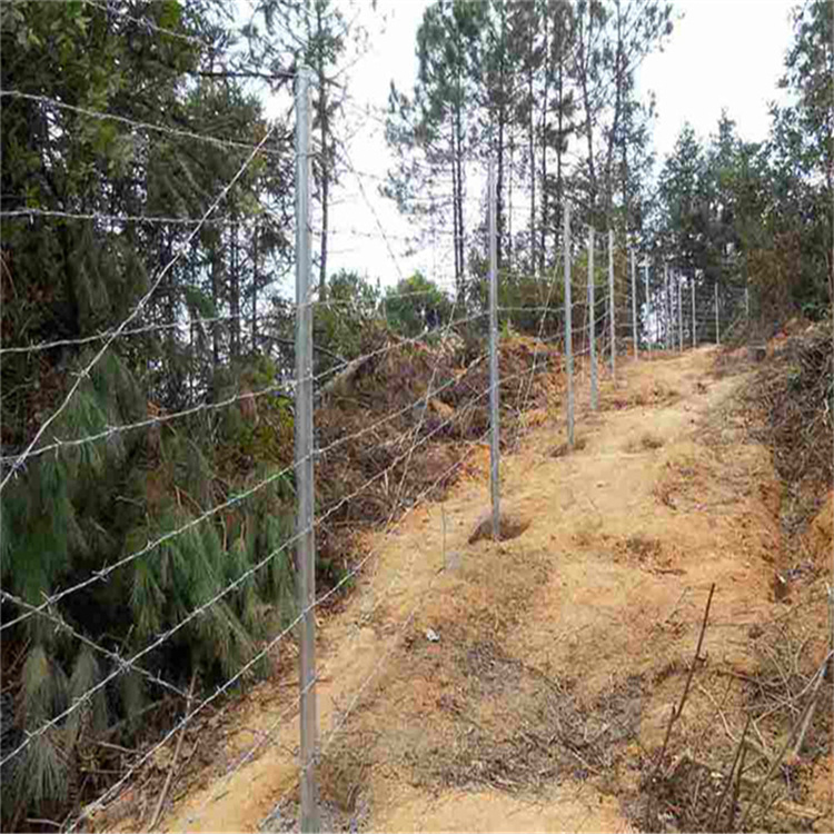甘肅刀片刺繩隔離柵