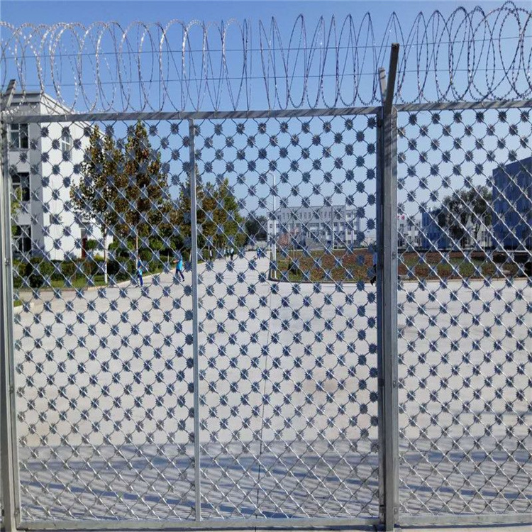 寧夏梅花刺隔離網