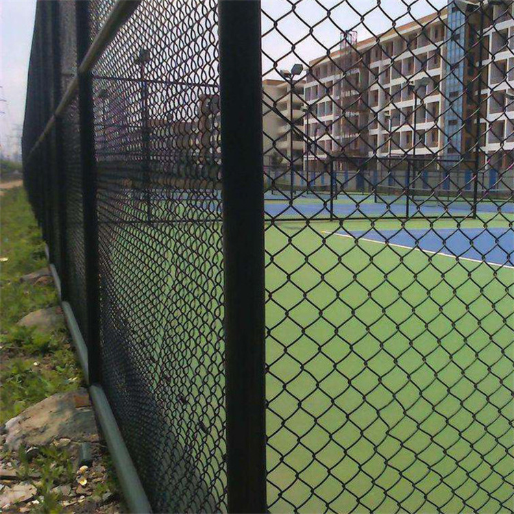 貴州扁鋼式勾花圍網(wǎng)